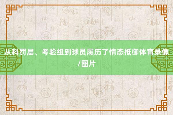 从科罚层、考验组到球员履历了情态抵御体育录像/图片