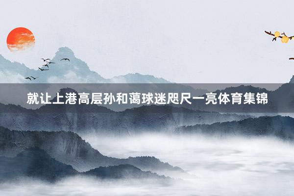 就让上港高层孙和蔼球迷咫尺一亮体育集锦