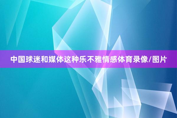 中国球迷和媒体这种乐不雅情感体育录像/图片