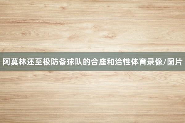 阿莫林还至极防备球队的合座和洽性体育录像/图片