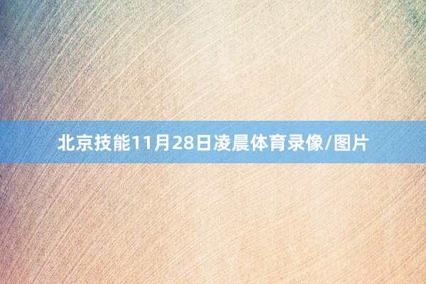 北京技能11月28日凌晨体育录像/图片