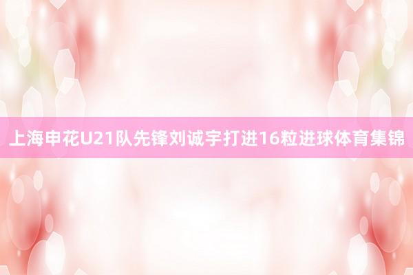 上海申花U21队先锋刘诚宇打进16粒进球体育集锦