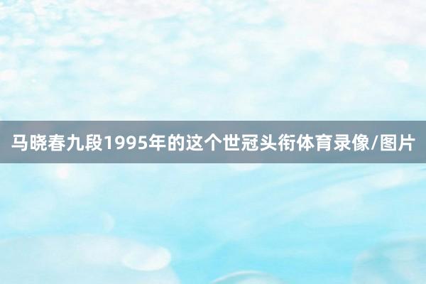 马晓春九段1995年的这个世冠头衔体育录像/图片