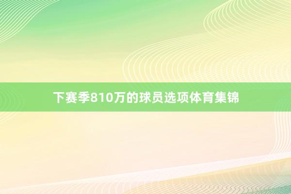 下赛季810万的球员选项体育集锦