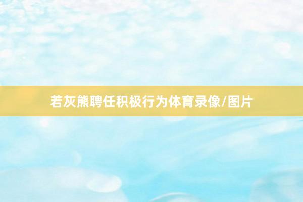 若灰熊聘任积极行为体育录像/图片