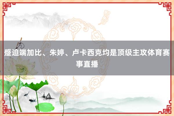 蹙迫端加比、朱婷、卢卡西克均是顶级主攻体育赛事直播